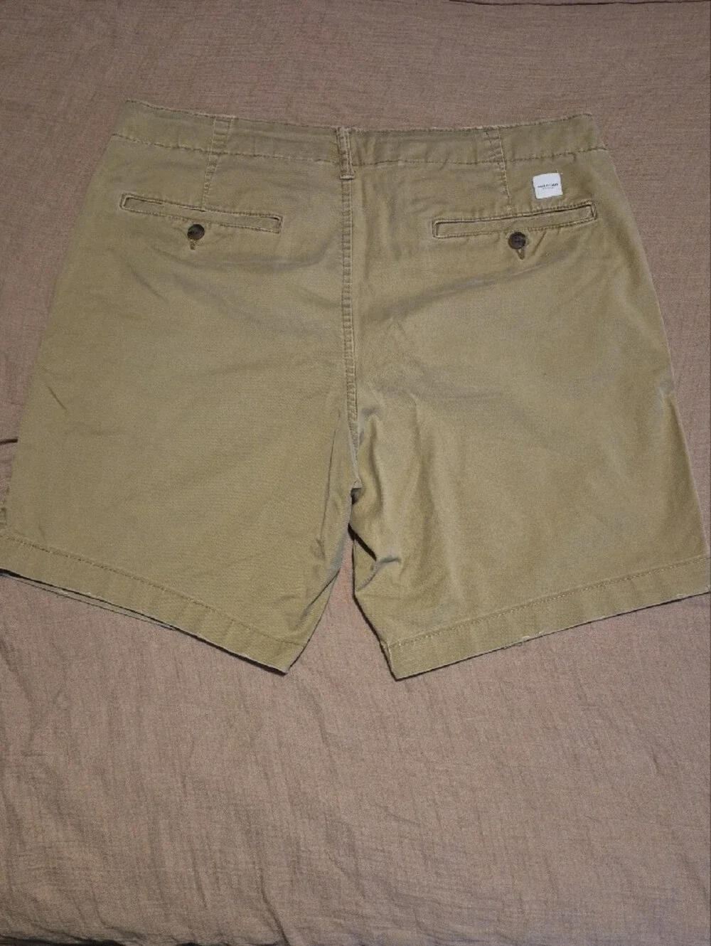 American Eagle Outfitters Men’s Olive-Tan Flat Front Shorts